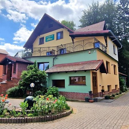 Pensjonat Bliss Polanica-Zdroj Bagian luar foto